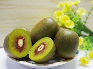 ���11��ʳ�����������Ȼ��