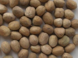 �Ͷ�Ϳ������ �Ͷ�Ϳ����Ч �Ͷ�Ϳ����������