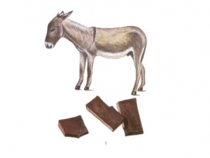 ¿Ƥ����Ӫ����ֵ ¿Ƥ���İ��Ʒ���