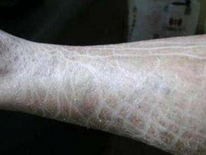 ۲ٴ֢״ ۲ô ۲ʲô