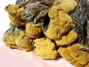 ɣ�ƵĹ�Ч������ ɣ���ܿ�����