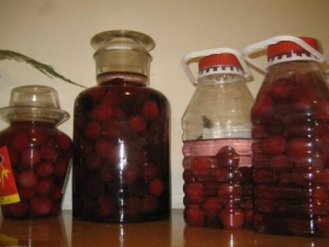 ��÷�ƵĹ�Ч������ ��÷�Ƶ���������