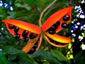 ƻŵĹЧ ƻŵӪֵ ƻ