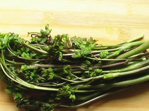 ��Ͳ��_��Ͳ�ݵĹ�Ч|��������