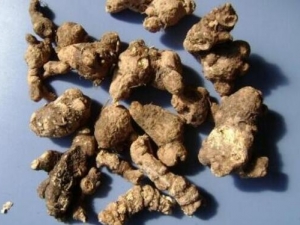 �����账�� �����蹦Ч �������������