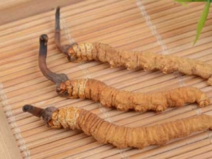 �����Ĳݵ����кι�Ч