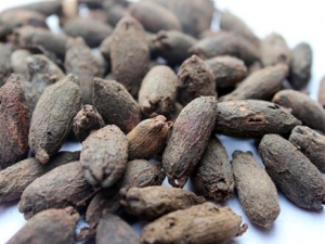 ĸ����Ĺ�Ч������ ĸ�����οڳ���Ч��