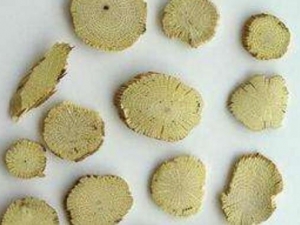 ľͨĹЧ ľͨιؽڷʹ