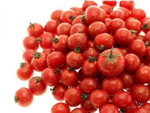 Ů���������ܳ�ʥŮ���� ��ʥŮ���������