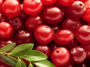 Խ�ٹ��Ĺ�Ч������ Խ�ٹ�������������