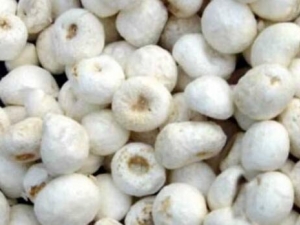 ����ҩ���� ����ҩ��Ч ����ҩ��������