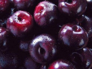 ڲֵӪֵ ڲֵʳ÷ Ժڲֿ