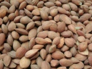 �������账�� �������蹦Ч ���������������