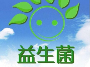 �������Ĺ�Ч������ ���������ܼ�����