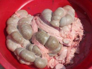 �����������ѡ ��������ô��