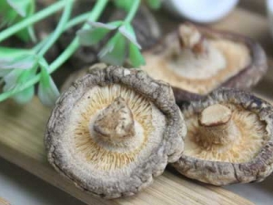 Ԥ��θ���سԵ�5��ʳ��