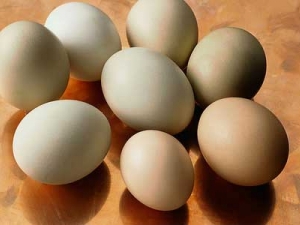 �Լ��������������֪����