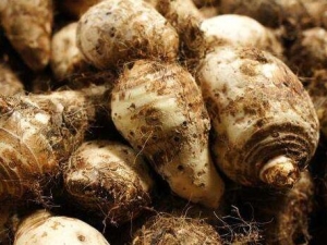 ������������ô�� ��ʲô�ܸ���Ƥ����