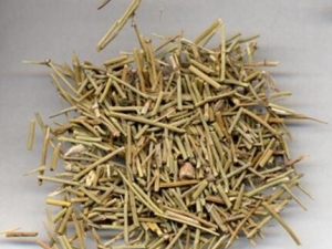 ϸ���ӵĹ�Ч������ ϸ�����ܲ�Ѫ������