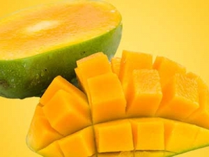 ����â���ó������� ����������Ƥ������