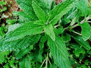 ���ݵĹ�Ч������ ������ˮ�ȵĹ�Ч