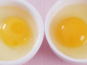 �����뵰��˭��Ӫ����ֵ�� ����ü�����������������