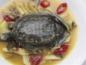 �Լ�����׳���� �����ʳ�÷��� �����ҩ�ü�ֵ