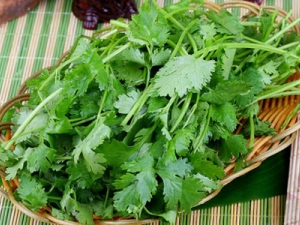 ������ðθ�ڲ��ʲô����