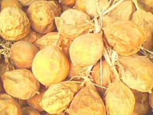 ���ͷ�θ������ ���ͷ�θ����Ч ���ͷ�θ����������