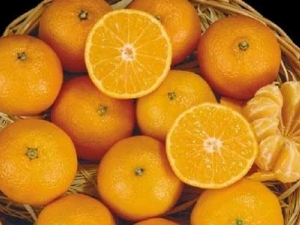 ����칫����ʳӦע����Щ