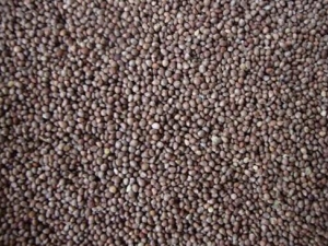 ���ӽ��������� ���ӽ�������Ч ���ӽ�������������