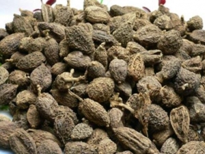 ������ʪ�ȳ�ʲô�� ɰ����γ�ʪ�ȣ�