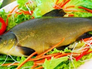 �������Ӫ����ֵ �������ʳ�÷���