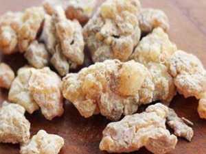 ���������� ��������Ч ��������������