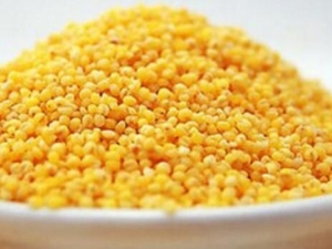 �����ദ�� �����๦Ч �������������