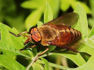 ������� ��ķ��� �������¾�������