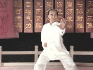 ����������ʲô�˶��ã��˶ν��ǲ�����ѡ��