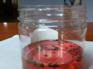 û����̦��Ҫ����θ�� ��֪����