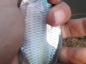 ������_������Ĺ�Ч����|�÷�����