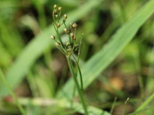 Ʈ����_Ʈ���ݵĹ�Ч����|�÷�����