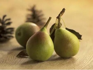 �＾��λ�ɤ �＾��ɤ��ʲô��