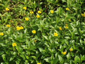 ����_���յĹ�Ч|�÷�