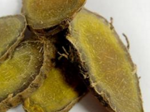 ��ݭ��_��ݭ���Ĺ�|��������