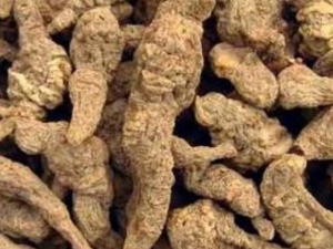 澫ͨ账 澫ͨ蹦Ч 澫ͨ