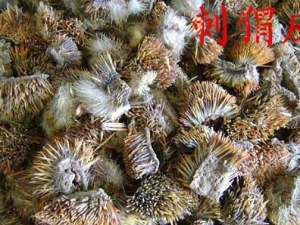 ���Ƥ�账�� ���Ƥ�蹦Ч ���Ƥ���������