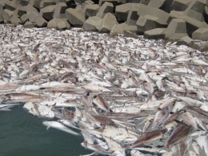 ������������_�����������Ե��÷�|��������