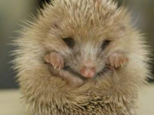 ������_������Ĺ�Ч|�÷�����