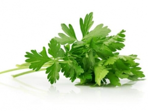 �۲˵�Ӫ����ֵ �۲˵�������ȫ