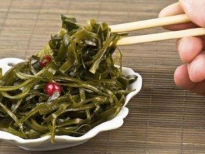 �����ʲô�ȽϺ� �ֽŷ�����ε���