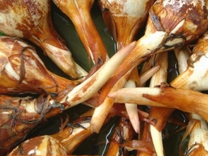 ���ԵĹ�Ч������ ���Ե�Ӫ����ֵ